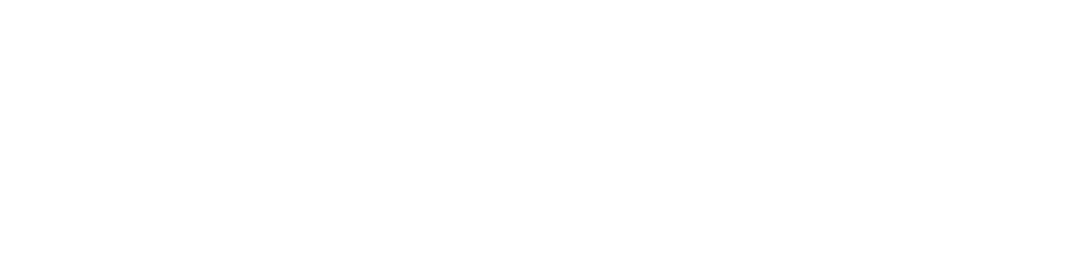 BAC - Business Administrators & Consultants, Inc.