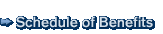 Schedule of Benefits